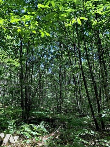 MALICORNE SUR SARTHE : PARCELLES EN NATURE DE FUTAIE sur terrain 1ha 33a 20ca