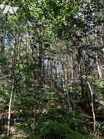 MALICORNE SUR SARTHE : PARCELLES EN NATURE DE FUTAIE sur terrain 1ha 33a 20ca