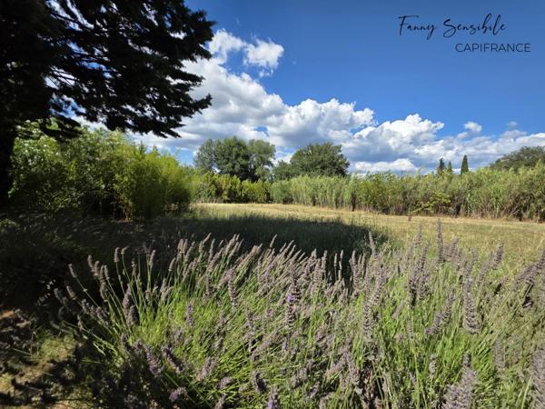 Bergerie en pierre du XVIIIᵉ siècle rénovée - 200 m² - terrain 5000 m² avec piscine - 25 min Aix-en-Provence