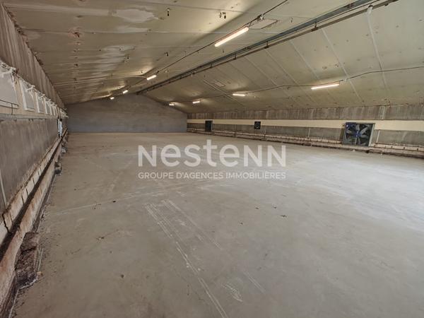 À vendre.  Ensemble de 4 cellules d'activités;  2 000 m² sur terrain de 8 000 m²