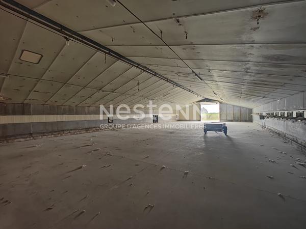 À vendre.  Ensemble de 4 cellules d'activités;  2 000 m² sur terrain de 8 000 m²