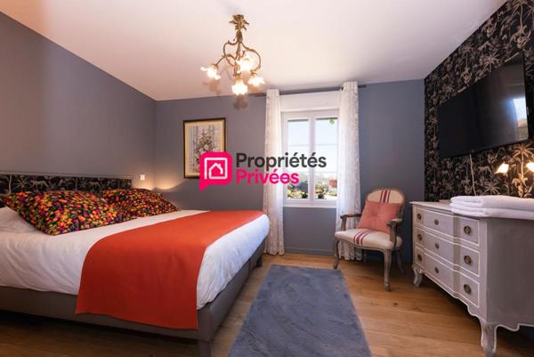 Propriété avec Gîtes - Proche Azay le Rideau -12 pièce(s) 274 m2