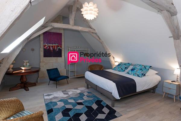 Propriété avec Gîtes - Proche Azay le Rideau -12 pièce(s) 274 m2