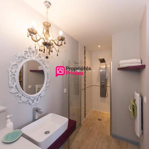 Propriété avec Gîtes - Proche Azay le Rideau -12 pièce(s) 274 m2