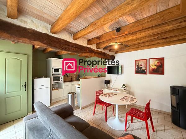 Propriété avec Gîtes - Proche Azay le Rideau -12 pièce(s) 274 m2