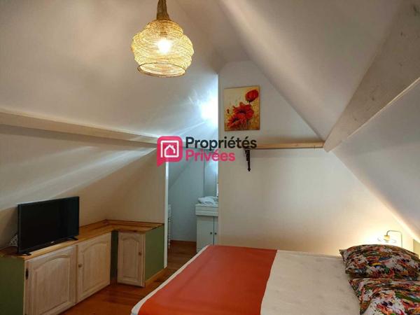 Propriété avec Gîtes - Proche Azay le Rideau -12 pièce(s) 274 m2