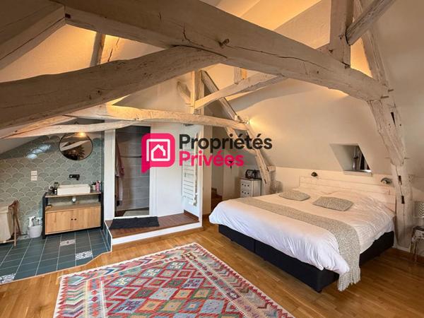 Propriété avec Gîtes - Proche Azay le Rideau -12 pièce(s) 274 m2