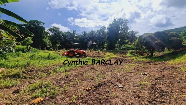 Terrain à DUCOS (97224)