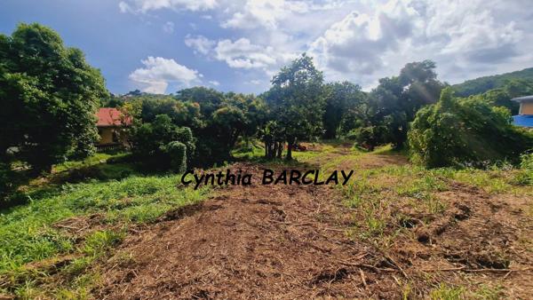 Terrain à DUCOS (97224)