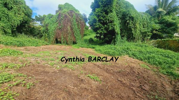 Terrain à DUCOS (97224)