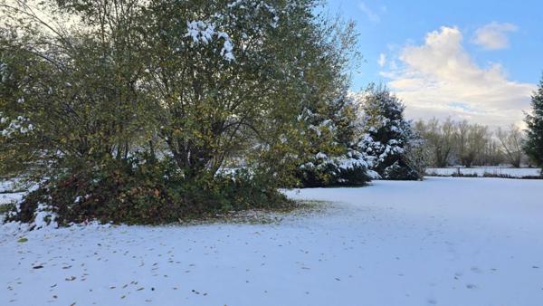 Terrain plat ensoleillé