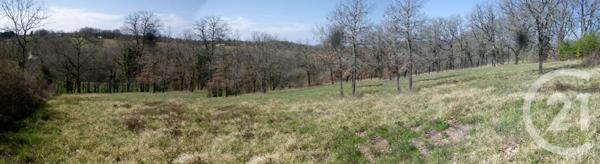 Terrain à vendre  5850 m2 ST PROJET - 46