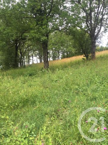 Terrain à vendre  5850 m2 ST PROJET - 46