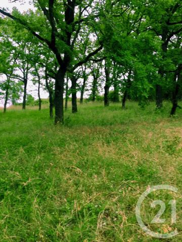 Terrain à vendre  5850 m2 ST PROJET - 46