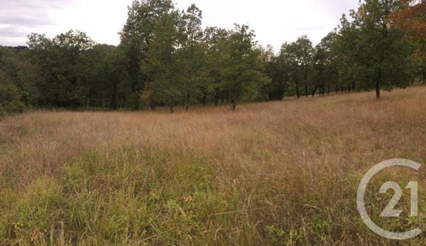 Terrain à vendre  5850 m2 ST PROJET - 46