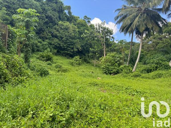 Terrain à vendre 836 m² Les Abymes