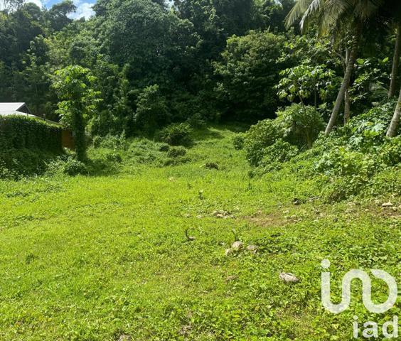 Terrain à vendre 836 m² Les Abymes