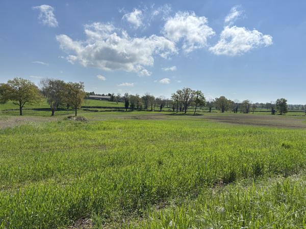 Louroux-de-Beaune – Charmante maison avec maison annexe sur un terrain de 3363 m² Louroux-de-Beaune (03600)