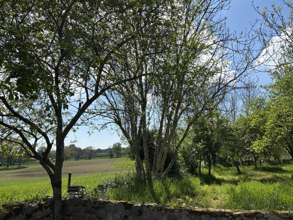 Louroux-de-Beaune – Charmante maison avec maison annexe sur un terrain de 3363 m² Louroux-de-Beaune (03600)