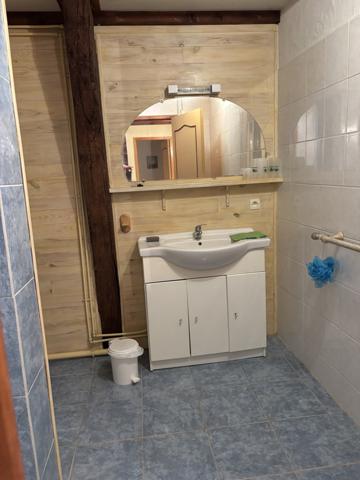 Louroux-de-Beaune – Charmante maison avec maison annexe sur un terrain de 3363 m² Louroux-de-Beaune (03600)