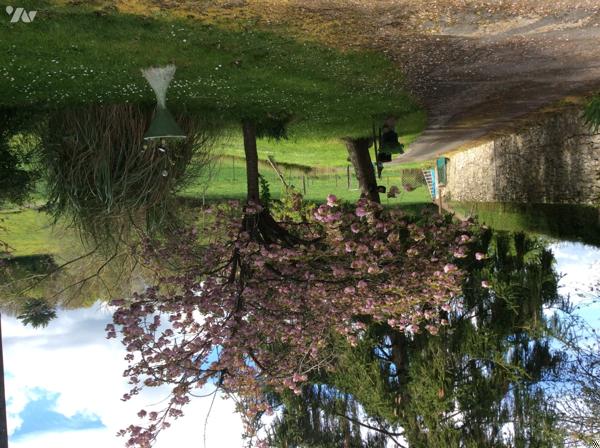 Maison CHERRE en campagne