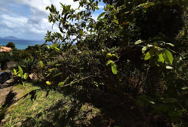 Deux Appartements sur terrain 800 m² à vendre 3 pièces TROIS RIVIERES (971)