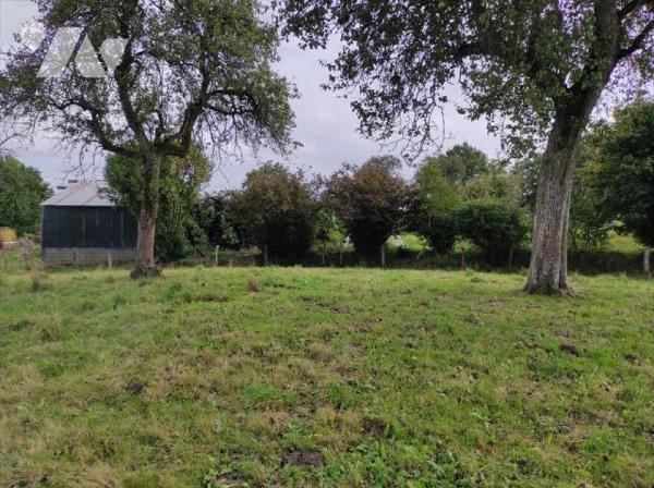 A vendre et à rénover, à Ambrières les vallées(53), en campagne, une loge en pierres, couvertur...