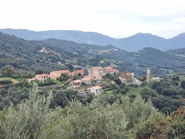 Santa-Maria-Figaniella (20143) Appartement T2 avec mezzanine et terrasse