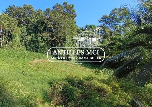 Terrain à la campagne