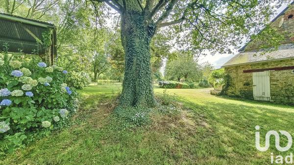 Maison à vendre 5 pièces 95 m² Allaire