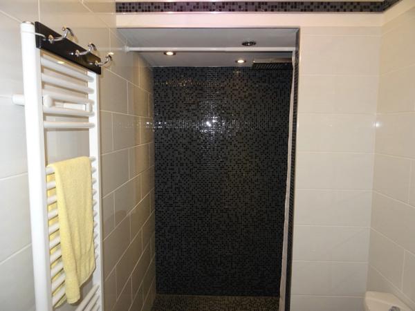 A SAINT HILAIRE LES PLACES PROCHE DE NEXON EN HAUTE VIENNE MAGNIFIQUE MANOIR DU 17EME DE 280 M² HABITABLES SUR 17862 M² DE TERRAIN AVEC UN ETANG DE 6000 M² ET PISCINE