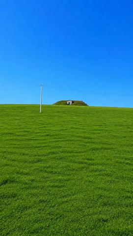 Terrain 993 m2