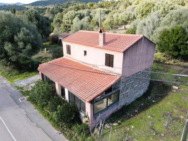 EXCLUSIVITE FORT POTENTIEL