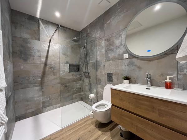 Appartement Saint Etienne 3 pieces 63m2