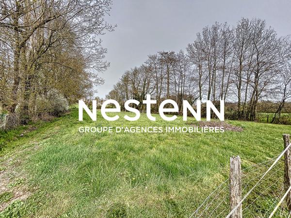 A vendre: Terrain a batir + zone naturelle arboree - 71570 LA CHAPELLE DE GUINCHAY