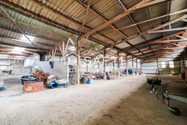 Corps de Ferme 300m2 Habitable + Nombreuses Dépendances