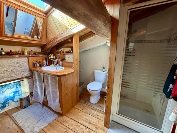 Villeneuve-sur-Lot (47300) Villeneuve sur lot, superbe maison de ville avec terrasse, jardinet et garage