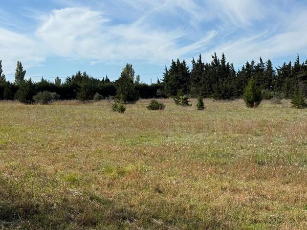 Maison Arles 7 pièce(s) 198 m2