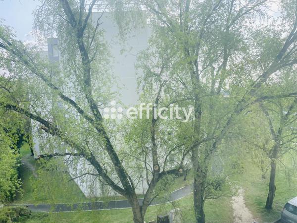 Appartement 4 pièces - 81 m²