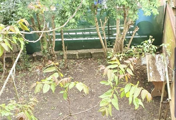 Appartement 3 pièces - 41 m²