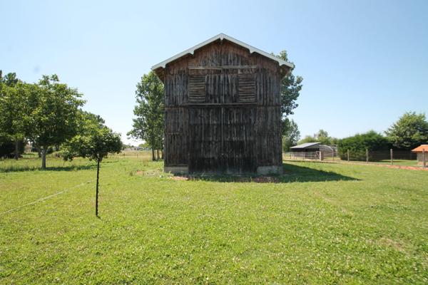 Ancien séchoir à tabac – 83 m² – Terrain de 5 428 m² – Potentiel de réhabilitation en habitation proche de CASTELJALOUX (47)