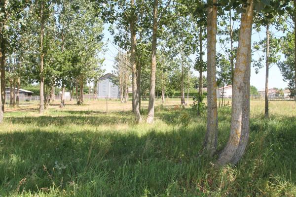 Ancien séchoir à tabac – 83 m² – Terrain de 5 428 m² – Potentiel de réhabilitation en habitation proche de CASTELJALOUX (47)