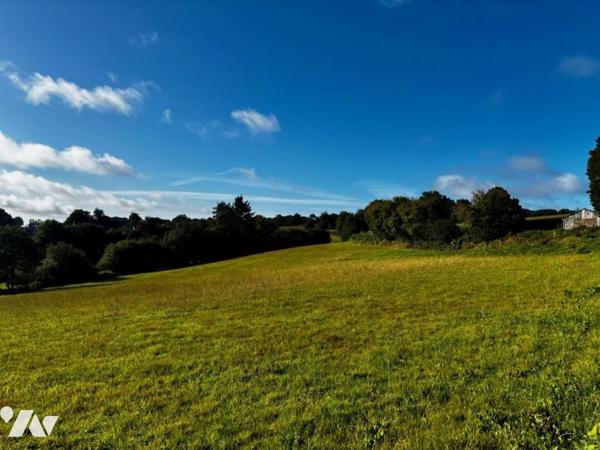 Terrain à bâtir axe VIRE-TINCHEBRAY