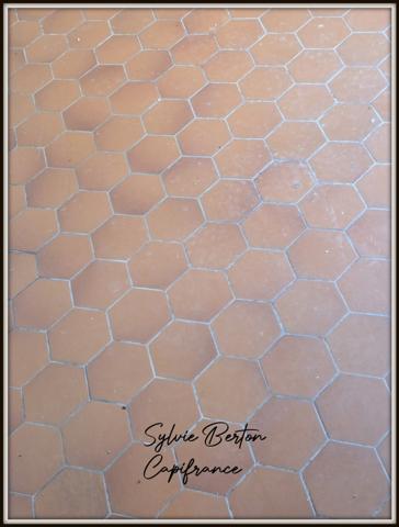 AULNAY SOUS BOIS Sud - 4 pièces - 360 m2 de terrain