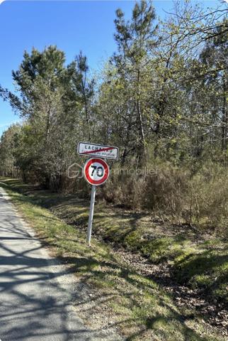 Foret de 31 450 m²