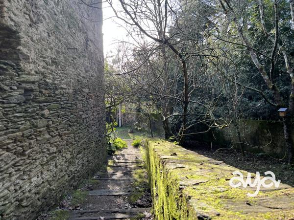 Superbe maison dans la Verdure