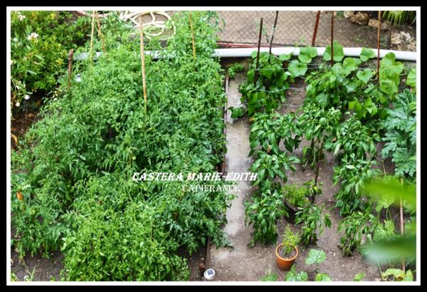 Maison de village rénovée -Proche AUCH - 7 pièces + Garage + Jardin exposé au SUD + Champ