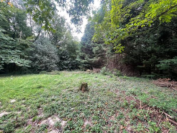 Maison Chateau Renard