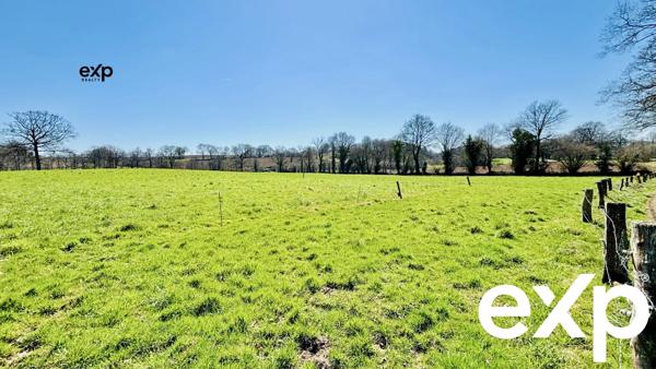 Terres Agricoles de 104130 m2 à MONTAUDIN (53220).