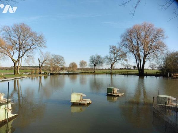 Terrain clos contenant deux étangs tout équipés